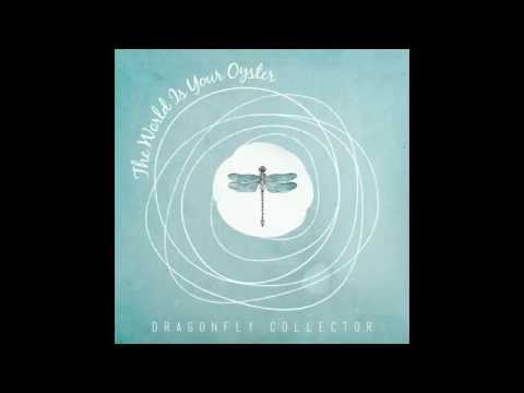 Timothy, My Own Timothy - Dragonfly Collector [Official Audio]