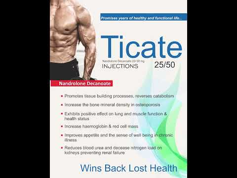 Pcd pharma franchise in solapur, in guntur