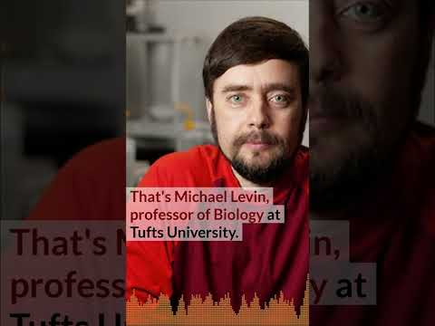 How bioelectricity could regrow limbs and organs, with Michael Levin