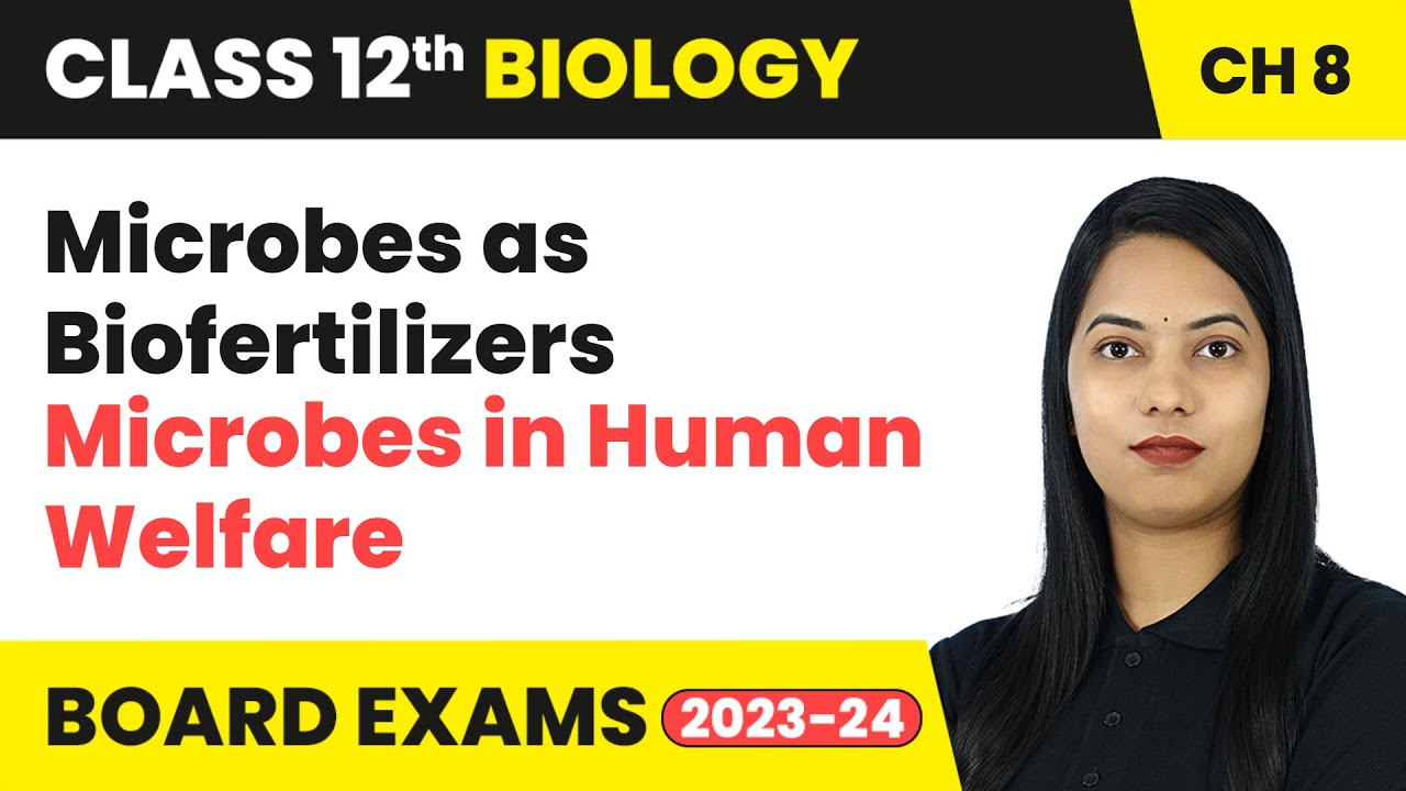 Microbes as Biofertilizers - Microbes in Human Welfare | Class 12 Biology Chapter 8 | CBSE 2024-25