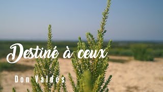 Don Valdès - Destiné à ceux - Mini EP "Résilience" [Street Clip 2019]