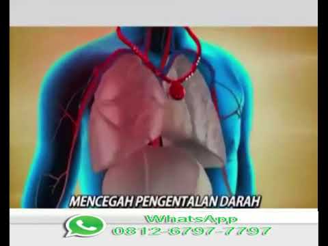 download lagu mp3 mp4 Alsiva, download mp3 Alsiva free download mp3, download mp3 Alsiva