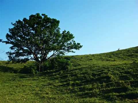 Amazing Eyes - Good Old War