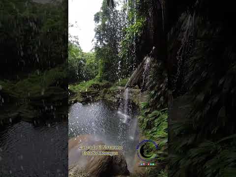 Cascada El Nazareno Caripito Estado Monagas .#desbloqueandoelgpsmental #srmoonofficial
