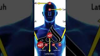 Download lagu Dzikir Latifah (Mari perbanyak Dzikrullah) mengingat Allah. #dzikir #sholawat #sufi #thoriqoh mp3