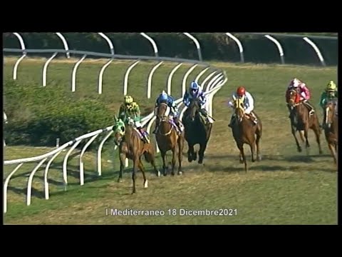 Corse cavalli di Galoppo del 18 Dicembre 2021