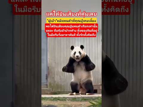 เขารักของเขา