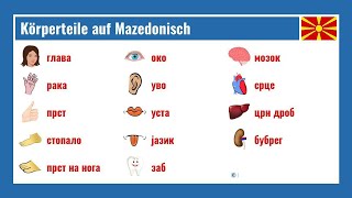 Körperteile auf Mazedonisch