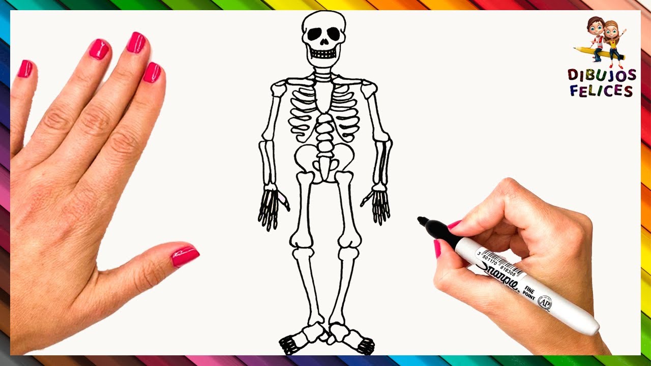 Cómo Dibujar Un Esqueleto Paso A Paso 💀🦴 Dibujo Fácil De Esqueleto