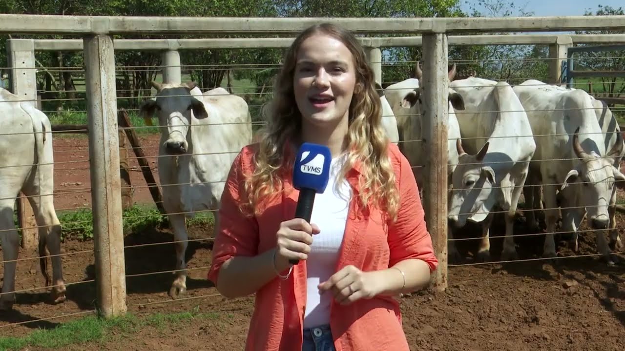 Curso de Melhoramento Genético - Embrapa Geneplus