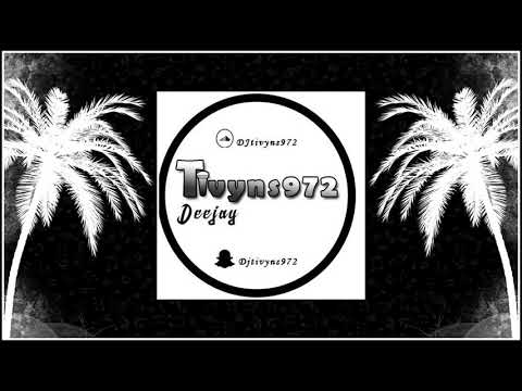 DJ TIVYNS972 - WAYNE SUR LA BASSE VOL 2