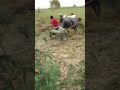 Jhota Race Race ON Road