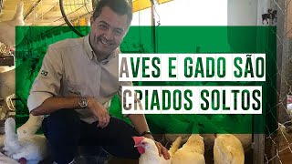 Miniatura do vídeo