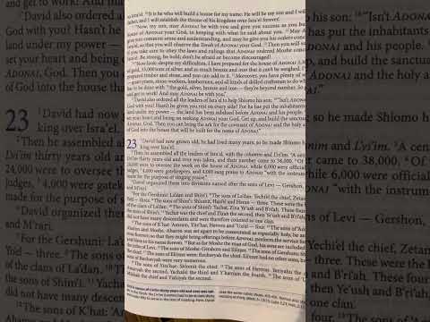 1 Chronicles (Divrei-HaYamim Alef) 22 | Tanakh/Old Testament | Audio Bible | CJB | CompleteJewishBib