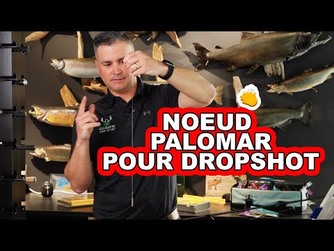 Pêche au Drop Shot : montage pour la pêche au doré et à l'achigan
