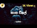 නාන විලේ The Lokka Prabath K Disanayaka Nana Vile Lyrics Video Thelokkaa