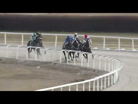 2022.03.20. 01. futam - MEGNYITÓ VERSENY (I.kat.) (szintetikus pálya)