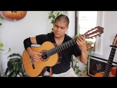 Promotional video thumbnail 2 for Matt Kaplan - Classical Guitar