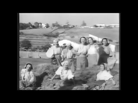 Angelo Musco e il mondo agrario italiano