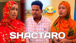 Download lagu MRS. HAL DOLAAR KULAHA | SHACTARO IYO QOSOL BADHAN😂 | DAWASHA WACAN XARFANEY ILA DHAMAADKA mp3