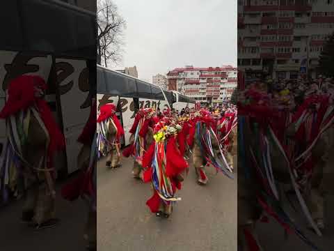 Obiceiuri Botoșani 2023