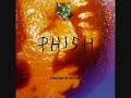 Phish - Magilla