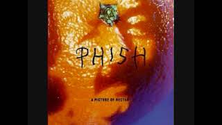 Phish - Magilla