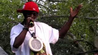 Flava Flav and Public Enemy - Cold Lampin' With Flavor