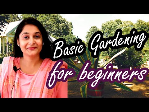 Gardening Basic Tips 1 How to start gardening Choose right plants for your house #plants #gardening