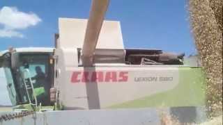 preview picture of video 'FRIGOLET cosechando con CLAAS LEXION 580 en Valoria la Buena.mp4'