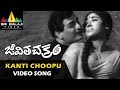Jeevitha Chakram Songs Kanti Choopu Male Video Song NTR Vanisri Sri Balaji Video