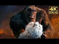 All King Kong Vs Titans Fights & Death Scenes (2024) Godzilla x Kong Movie