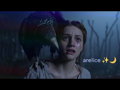 𝐚𝐫𝐞𝐥𝐢𝐜𝐞 - 𝐫𝐞𝐭𝐮𝐫𝐧 ✨🌙