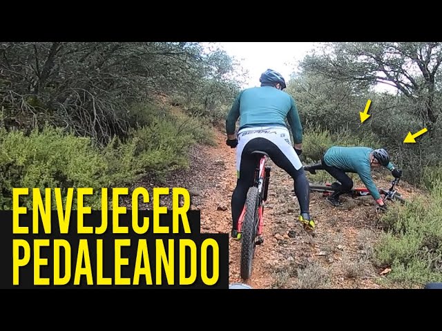 Bicicletas de la marca Berria por Daniel Race