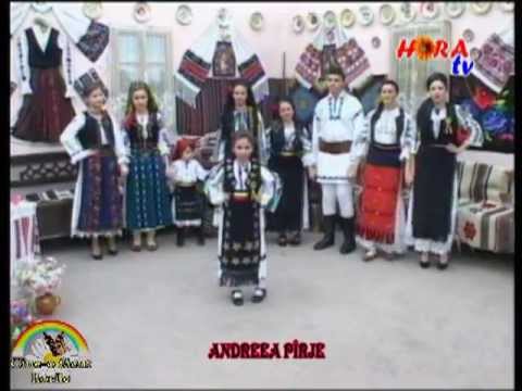 ANDREEA PIRJE - Frunzulita trei arginti