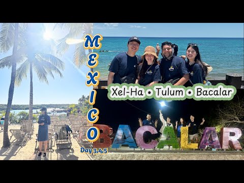 Mexico Trip — Episode 2