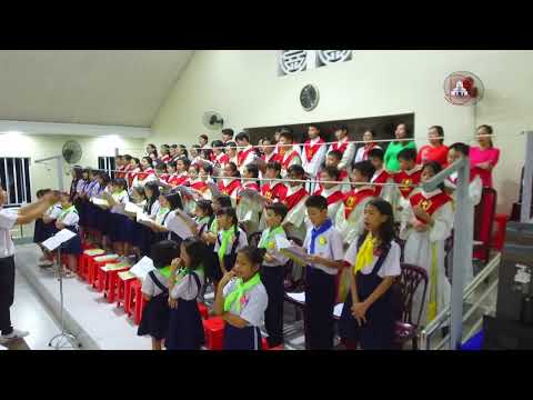 Ca Mừng Thánh Nữ Cêcilia Ngày 22 Tháng 11
