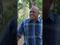 Ndase Mukidi Ketatap Palu Mukidi Gantol Wokochannel