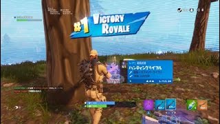 Fortnite_20180815175548