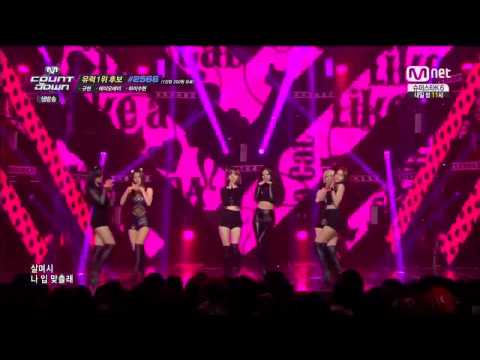 Live HD | 141120 AOA - Like A Cat @ MNET M! Countdown