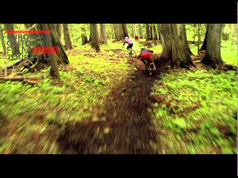 Teaser - Life Cycles - E.O.F.T. 11/12