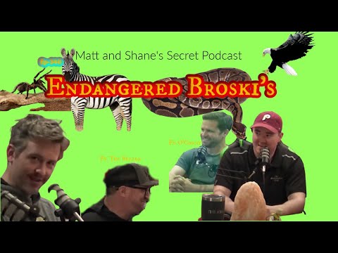 Ep 340- Endangered Broski's