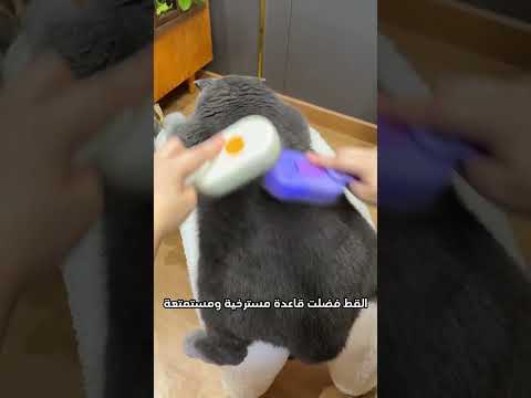 😹 القط ده استمتع بتمشيط شعره لدرجة صدمت صاحبه! #shorts