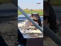 Hippopotamus Following Boat Video | Hippo Video | Hippo Chases Boat | #viralvideo #viral