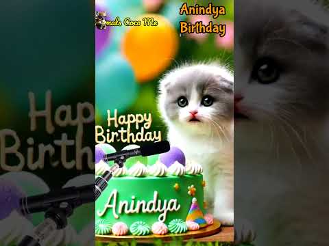 ANINDYA HAPPY BIRTHDAY | HAPPY BIRTHDAY SONG WITH NAMES | Adorable Cute Cat 😺 #happybirthday #cat