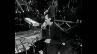 Nick Cave Hallelujah