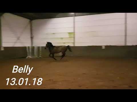 Belly 13.01.18