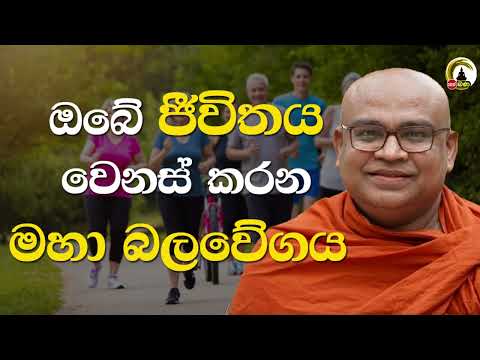 Olaganwaththe Chandasiri Himi - Dharmadakshina - 2025 09 11