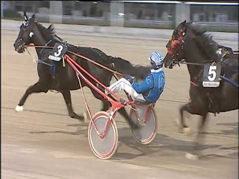 Trotto 29/11/2019 - 5ª corsa