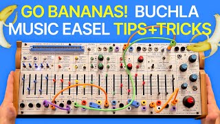 Video thumbnail for Going Bananas on the Buchla Easel Command 208C! by Perfect Circuit